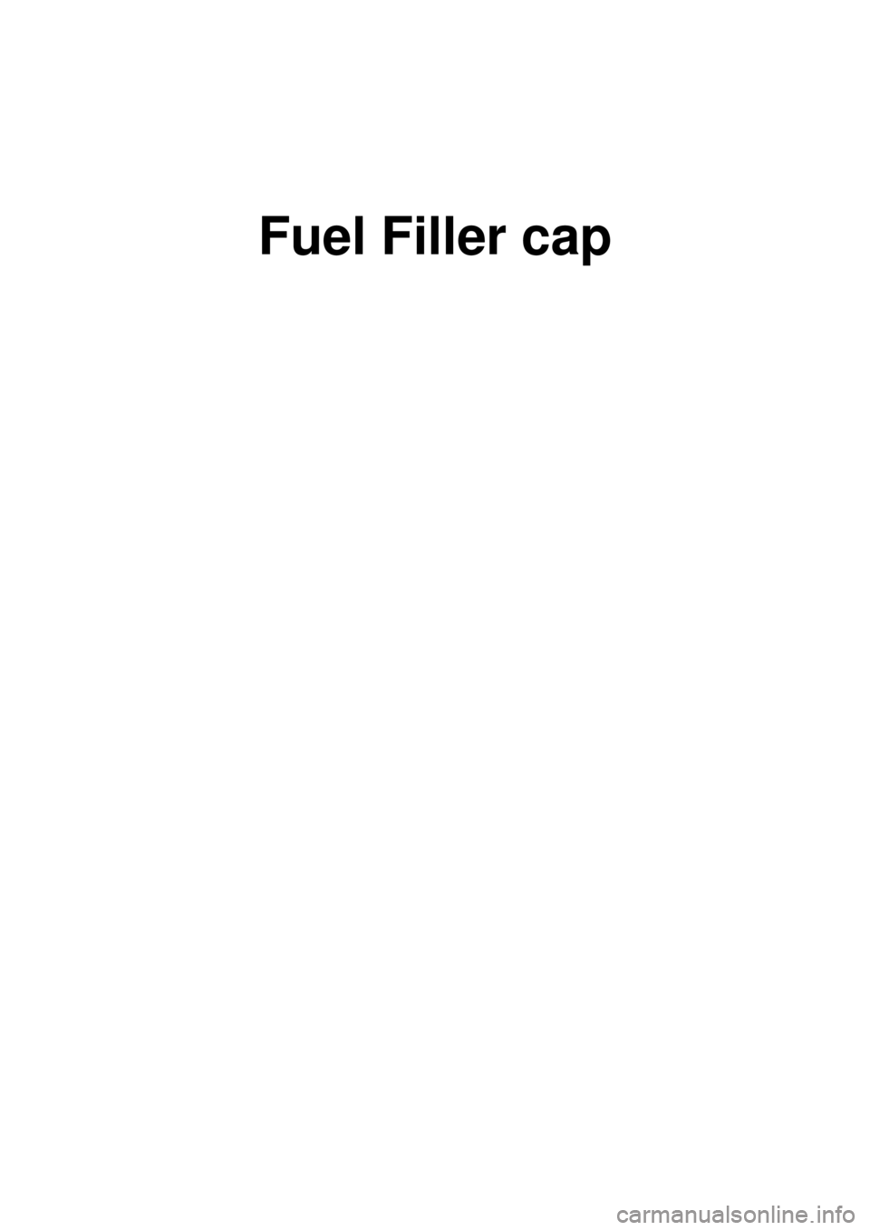 KIA CARNIVAL 2007  Workshop Manual Fuel Filler cap 