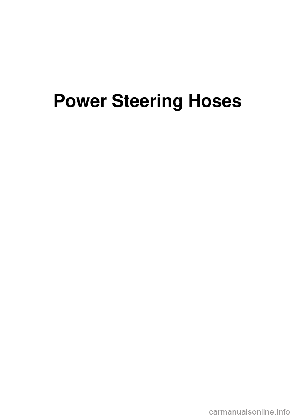 KIA CARNIVAL 2007 Repair Manual Power Steering Hoses 