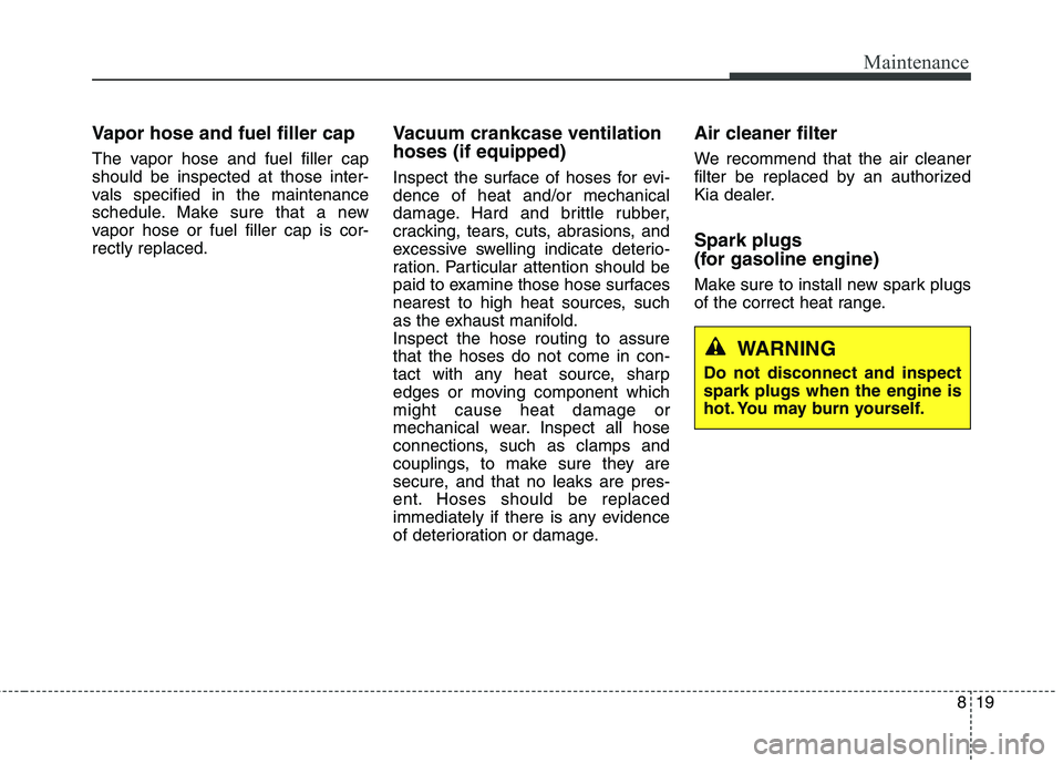 KIA BORREGO 2017 Owners Manual 819
Maintenance
Vapor hose and fuel filler cap
The vapor hose and fuel filler cap should be inspected at those inter-
vals specified in the maintenance
schedule. Make sure that a new
vapor hose or fu KIA BORREGO 2017 Owners Manual 819
Maintenance
Vapor hose and fuel filler cap
The vapor hose and fuel filler cap should be inspected at those inter-
vals specified in the maintenance
schedule. Make sure that a new
vapor hose or fu