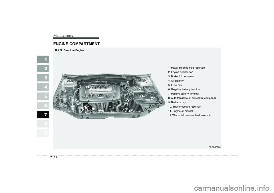 KIA CERATO 2007 Owners Manual Maintenance
14
7
1 23456789
ENGINE COMPARTMENT
OLD056001
1. Power steering fluid reservoir
2. Engine oil filler cap
3. Brake fluid reservoir
4. Air cleaner
5. Fuse box
6. Negative battery terminal
7 KIA CERATO 2007 Owners Manual Maintenance
14
7
1 23456789
ENGINE COMPARTMENT
OLD056001
1. Power steering fluid reservoir
2. Engine oil filler cap
3. Brake fluid reservoir
4. Air cleaner
5. Fuse box
6. Negative battery terminal
7
