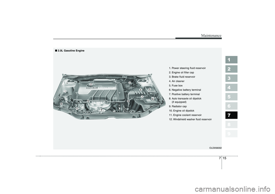KIA CERATO 2007 Owners Manual 715
Maintenance
1 23456789
OLD056002
1. Power steering fluid reservoir
2. Engine oil filler cap
3. Brake fluid reservoir
4. Air cleaner
5. Fuse box
6. Negative battery terminal
7. Positive battery te KIA CERATO 2007 Owners Manual 715
Maintenance
1 23456789
OLD056002
1. Power steering fluid reservoir
2. Engine oil filler cap
3. Brake fluid reservoir
4. Air cleaner
5. Fuse box
6. Negative battery terminal
7. Positive battery te