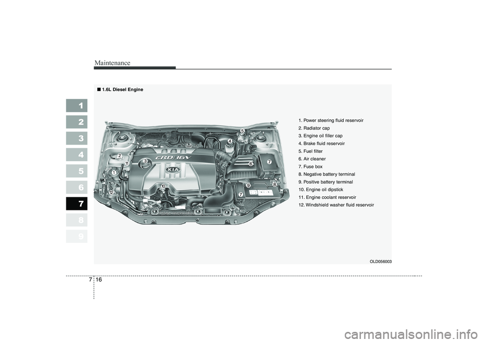KIA CERATO 2007 Owners Manual Maintenance
16
7
1 23456789
OLD056003
1. Power steering fluid reservoir
2. Radiator cap
3. Engine oil filler cap
4. Brake fluid reservoir
5. Fuel filter
6. Air cleaner
7. Fuse box
8. Negative battery KIA CERATO 2007 Owners Manual Maintenance
16
7
1 23456789
OLD056003
1. Power steering fluid reservoir
2. Radiator cap
3. Engine oil filler cap
4. Brake fluid reservoir
5. Fuel filter
6. Air cleaner
7. Fuse box
8. Negative battery