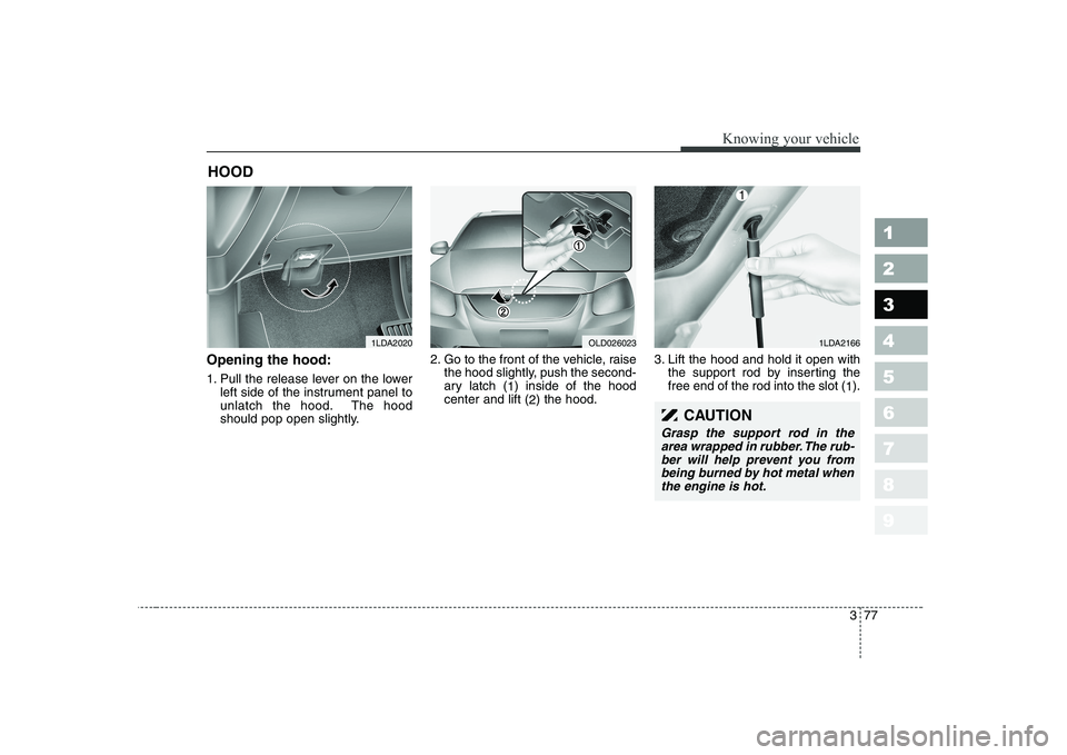 KIA CERATO 2007 Manual Online 377
1 23456789
Knowing your vehicle
Opening the hood:
1. Pull the release lever on the lowerleft side of the instrument panel to
unlatch the hood. The hood
should pop open slightly. 2. Go to the fro KIA CERATO 2007 Manual Online 377
1 23456789
Knowing your vehicle
Opening the hood:
1. Pull the release lever on the lowerleft side of the instrument panel to
unlatch the hood. The hood
should pop open slightly. 2. Go to the fro