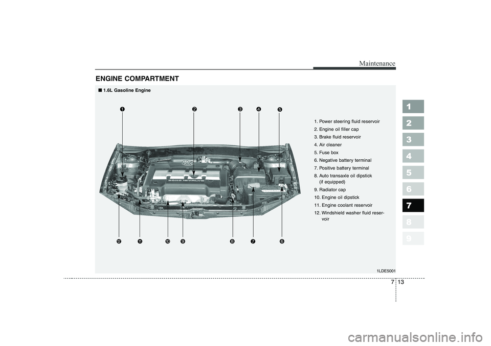 KIA CERATO 2006  Owners Manual 713
Maintenance
1 23456789
ENGINE COMPARTMENT 
1LDE5001
1. Power steering fluid reservoir 
2. Engine oil filler cap
3. Brake fluid reservoir
4. Air cleaner
5. Fuse box
6. Negative battery terminal
7. 