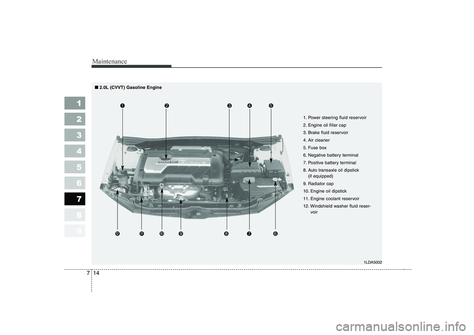 KIA CERATO 2006  Owners Manual 1LDA5002
Maintenance
14
7
1 23456789
1. Power steering fluid reservoir 
2. Engine oil filler cap
3. Brake fluid reservoir
4. Air cleaner
5. Fuse box
6. Negative battery terminal
7. Positive battery te