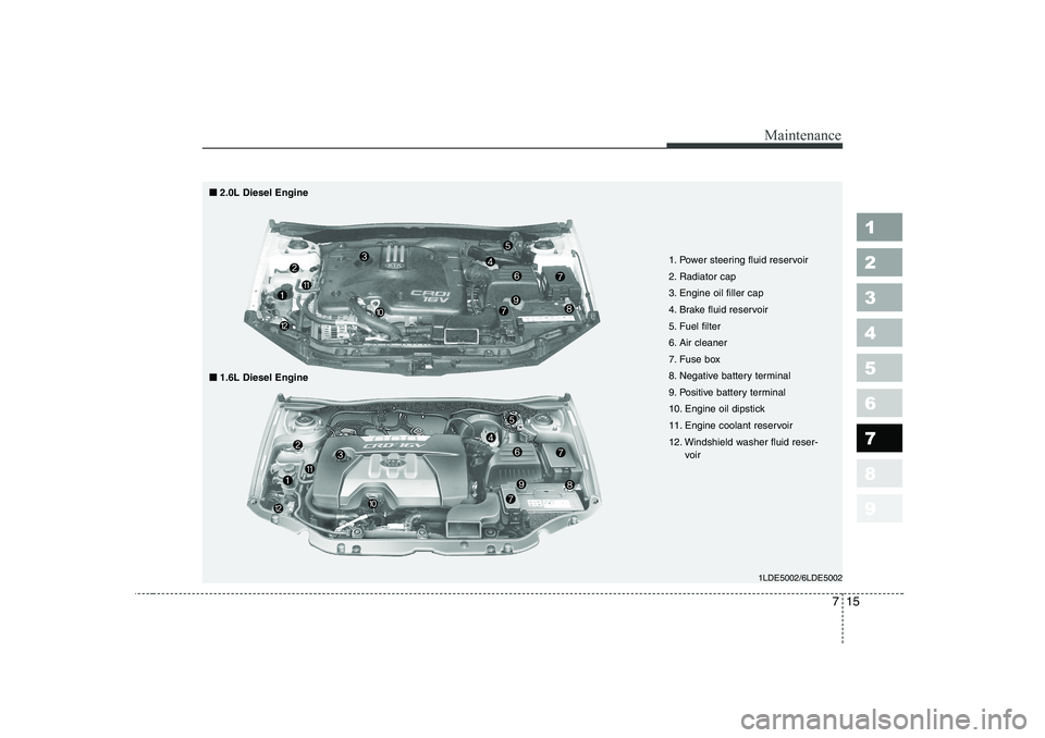 KIA CERATO 2006  Owners Manual 715
Maintenance
1 23456789
1LDE5002/6LDE5002
1. Power steering fluid reservoir 
2. Radiator cap
3. Engine oil filler cap
4. Brake fluid reservoir
5. Fuel filter
6. Air cleaner
7. Fuse box
8. Negative 