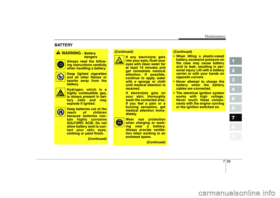 KIA CERATO 2006  Owners Manual 739
Maintenance
1 23456789
BATTERY      
WARNING- Battery 
dangers
Always read the follow- 
ing instructions carefully
when handling a battery.
Keep lighted cigarettes and all other flames or
sparks a