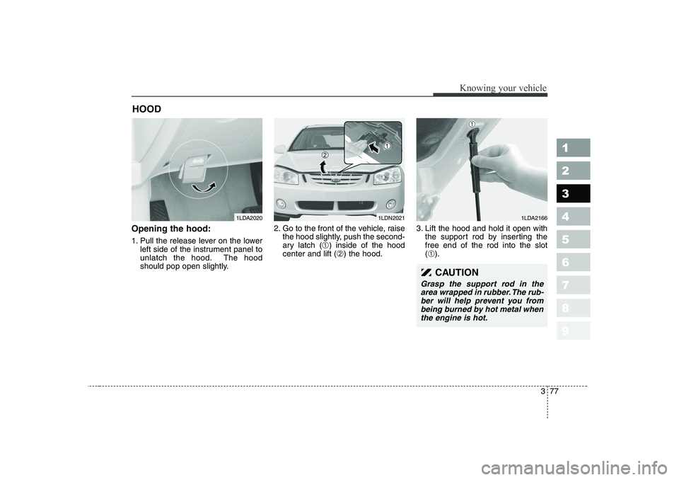 KIA CERATO 2006  Owners Manual 377
1 23456789
Knowing your vehicle
Opening the hood: 
1. Pull the release lever on the lowerleft side of the instrument panel to 
unlatch the hood. The hood
should pop open slightly. 2. Go to the fro