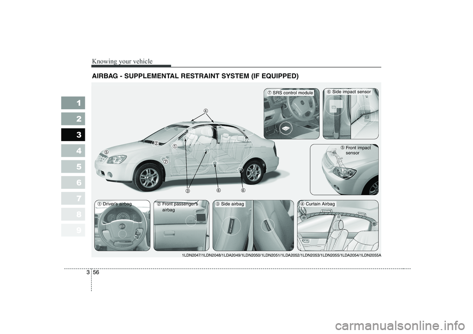 KIA CERATO 2004 Repair Manual Knowing your vehicle
56
3
1 23456789
AIRBAG - SUPPLEMENTAL RESTRAINT SYSTEM (IF EQUIPPED) 
➀ Driver’s airbag
➁Front passenger’s airbag➃ Curtain Airbag ➄
Front impact sensor
➆SRS control 