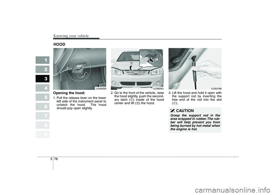 KIA CERATO 2004 Manual Online Knowing your vehicle
78
3
1 23456789
Opening the hood: 
1. Pull the release lever on the lower
left side of the instrument panel to 
unlatch the hood. The hood
should pop open slightly. 2. Go to the f