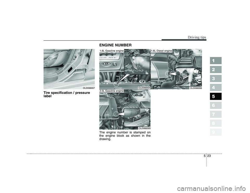 KIA CERATO 2008  Owners Manual 523
Driving tips
1 23456789
Tire specification / pressure labelENGINE NUMBER 
The engine number is stamped on 
the engine block as shown in the
drawing.
OLD066007OLD066004
1.6L Gasoline engine
OLD0660