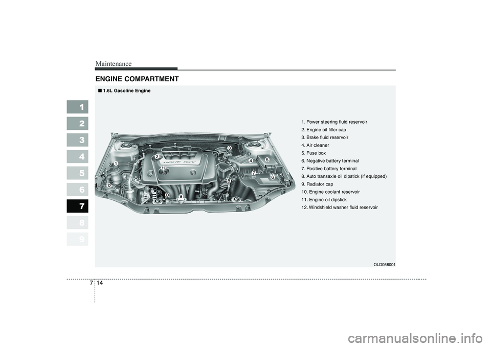 KIA CERATO 2008  Owners Manual Maintenance
14
7
1 23456789
ENGINE COMPARTMENT 
OLD058001
1. Power steering fluid reservoir 
2. Engine oil filler cap
3. Brake fluid reservoir
4. Air cleaner
5. Fuse box
6. Negative battery terminal
7