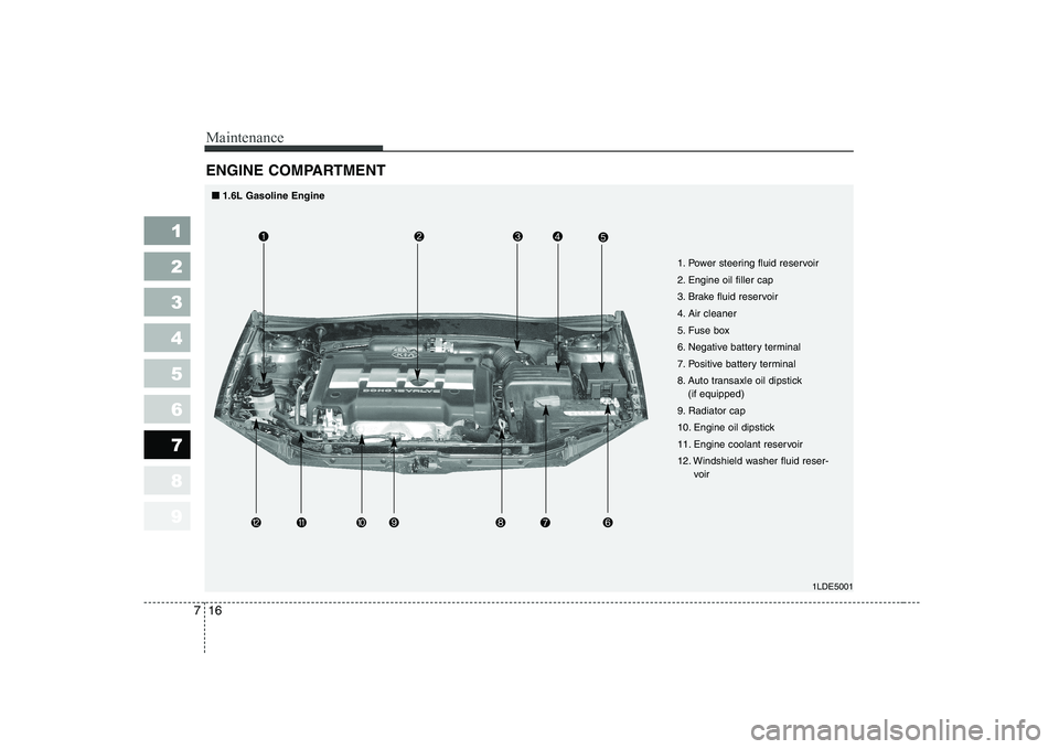 KIA CERATO 2005  Owners Manual Maintenance
16
7
1 23456789
ENGINE COMPARTMENT 
1LDE5001
1. Power steering fluid reservoir 
2. Engine oil filler cap
3. Brake fluid reservoir
4. Air cleaner
5. Fuse box
6. Negative battery terminal
7.