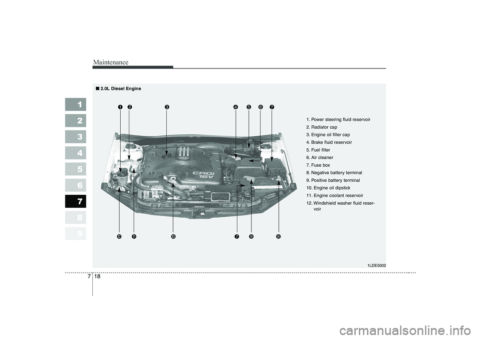 KIA CERATO 2005  Owners Manual Maintenance
18
7
1 23456789
1LDE5002
1. Power steering fluid reservoir 
2. Radiator cap
3. Engine oil filler cap
4. Brake fluid reservoir
5. Fuel filter
6. Air cleaner
7. Fuse box
8. Negative battery 
