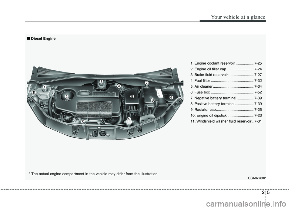 KIA PICANTO 2011 User Guide 25
Your vehicle at a glance
OSA077002
■
■
Diesel Engine
1. Engine coolant reservoir ..................7-25 
2. Engine oil filler cap ...........................7-24
3. Brake fluid reservoir ......