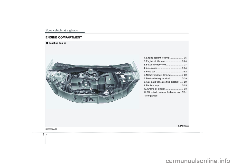 KIA PICANTO 2008  Owners Manual Your vehicle at a glance
4
2
ENGINE COMPARTMENT B030000ASA
OSA017003
■■
Gasoline Engine
1. Engine coolant reservoir ...................7-25 
2. Engine oil filler cap ...........................7-2