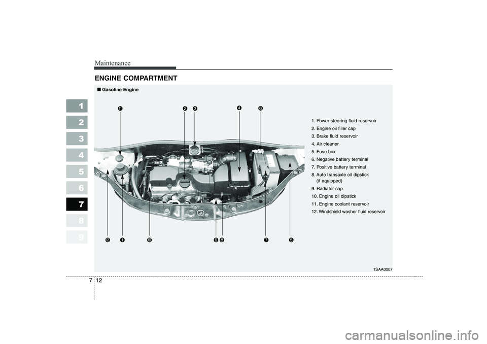 KIA PICANTO 2006 Owners Manual Maintenance
12
7
1 23456789
ENGINE COMPARTMENT
1SAA0007
1. Power steering fluid reservoir
2. Engine oil filler cap
3. Brake fluid reservoir
4. Air cleaner
5. Fuse box
6. Negative battery terminal
7. KIA PICANTO 2006 Owners Manual Maintenance
12
7
1 23456789
ENGINE COMPARTMENT
1SAA0007
1. Power steering fluid reservoir
2. Engine oil filler cap
3. Brake fluid reservoir
4. Air cleaner
5. Fuse box
6. Negative battery terminal
7.