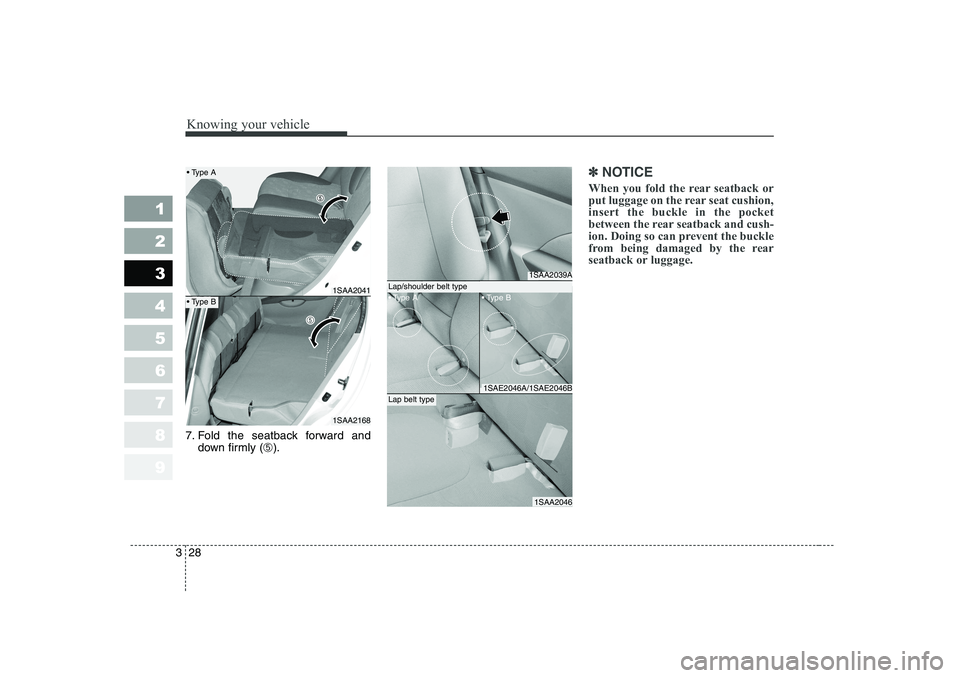 KIA PICANTO 2006 Owners Guide Knowing your vehicle
28
3
1 23456789
7. Fold the seatback forward and
down firmly ( ➄).
✽✽
NOTICE
When you fold the rear seatback or
put luggage on the rear seat cushion,insert the buckle in th KIA PICANTO 2006 Owners Guide Knowing your vehicle
28
3
1 23456789
7. Fold the seatback forward and
down firmly ( ➄).
✽✽
NOTICE
When you fold the rear seatback or
put luggage on the rear seat cushion,insert the buckle in th