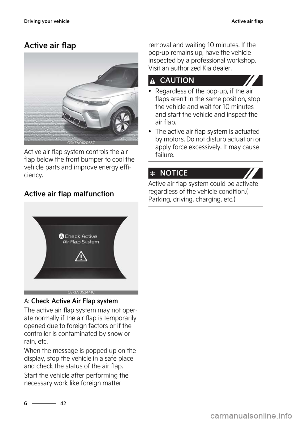 KIA SOUL EV 2023  Owners Manual �%�S�J�W�J�O�H��Z�P�V�S��W�F�I�J�D�M�F
��
�
�"�D�U�J�W�F��B�J�S��G�M�B�Q
�"�D�U�J�W�F��B�J�S��G�M�B�Q
�"�D�U�J�W�F��B�J�S��G�M�B�Q��T�Z�T�U�F�N��D�P�O�U�S�P�M�T��U�I�F��B�J�S�
�G�M�B�Q