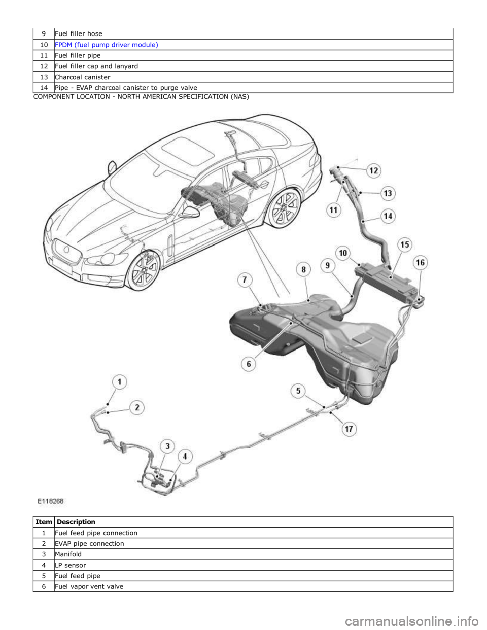 JAGUAR XFR 2010 1.G Workshop Manual 10 FPDM (fuel pump driver module) 11 Fuel filler pipe 12 Fuel filler cap and lanyard 13 Charcoal canister 14 Pipe - EVAP charcoal canister to purge valve COMPONENT LOCATION - NORTH AMERICAN SPECIFICAT JAGUAR XFR 2010 1.G Workshop Manual 10 FPDM (fuel pump driver module) 11 Fuel filler pipe 12 Fuel filler cap and lanyard 13 Charcoal canister 14 Pipe - EVAP charcoal canister to purge valve COMPONENT LOCATION - NORTH AMERICAN SPECIFICAT