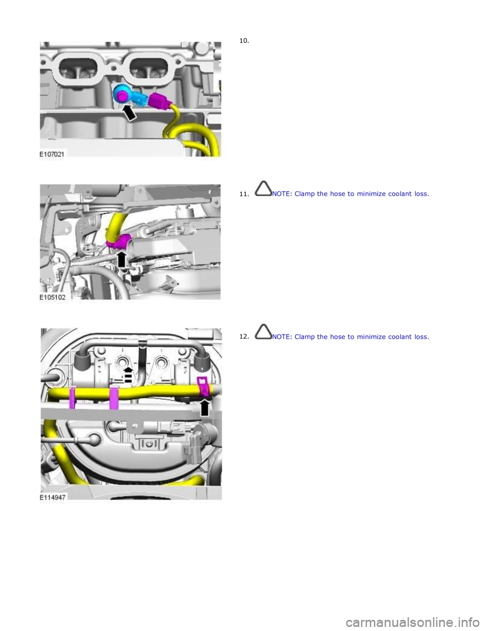 JAGUAR XFR 2010 1.G Workshop Manual       10. 
      11. 
12.  
 
 
 
 
 
 
 
 
 
 
 
 
 
 
 
 
 
 
 
NOTE: Clamp the hose to minimize coolant loss. 
 
 
 
 
 
 
 
 
 
 
 
 
 
 
 
 
 
NOTE: Clamp the hose to minimize coolant loss.  