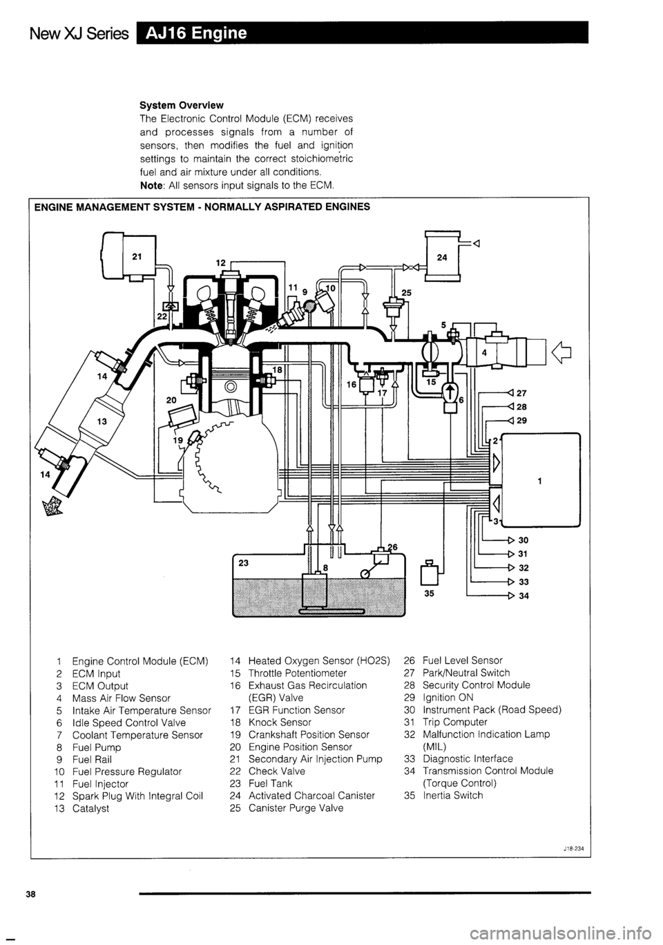 JAGUAR XJ 1995 2.G Technical Information Manual 