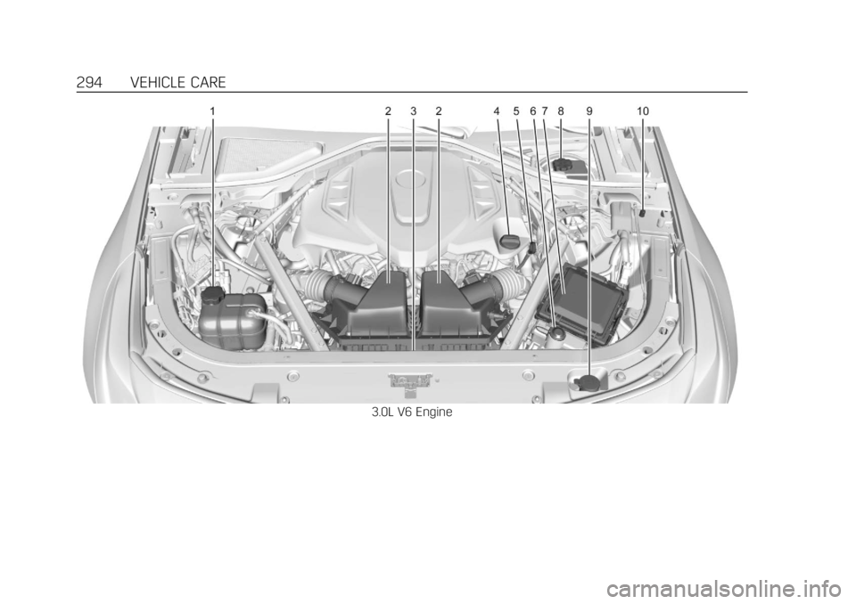CADILLAC CT6 2019  Owners Manual Cadillac CT6 Owner Manual (GMNA-Localizing-U.S./Canada-12533370) -
2019 - crc - 1/23/19
294 VEHICLE CARE
3.0L V6 Engine 
