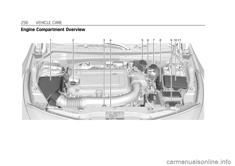 CADILLAC XT4 2019 Owners Manual Cadillac XT4 Owner Manual (GMNA-Localizing-U.S./Canada/Mexico-
12017481) - 2019 - CRC - 11/5/18
256 VEHICLE CARE
Engine Compartment Overview CADILLAC XT4 2019 Owners Manual Cadillac XT4 Owner Manual (GMNA-Localizing-U.S./Canada/Mexico-
12017481) - 2019 - CRC - 11/5/18
256 VEHICLE CARE
Engine Compartment Overview