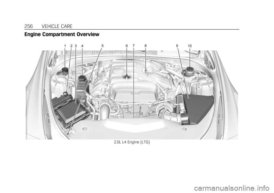 CADILLAC CTS 2018 Owners Manual Cadillac CTS/CTS-V Owner Manual (GMNA-Localizing-U.S./Canada/Mexico-
11349156) - 2018 - CRC - 9/29/17
256 VEHICLE CARE
Engine Compartment Overview
2.0L L4 Engine (LTG) CADILLAC CTS 2018 Owners Manual Cadillac CTS/CTS-V Owner Manual (GMNA-Localizing-U.S./Canada/Mexico-
11349156) - 2018 - CRC - 9/29/17
256 VEHICLE CARE
Engine Compartment Overview
2.0L L4 Engine (LTG)