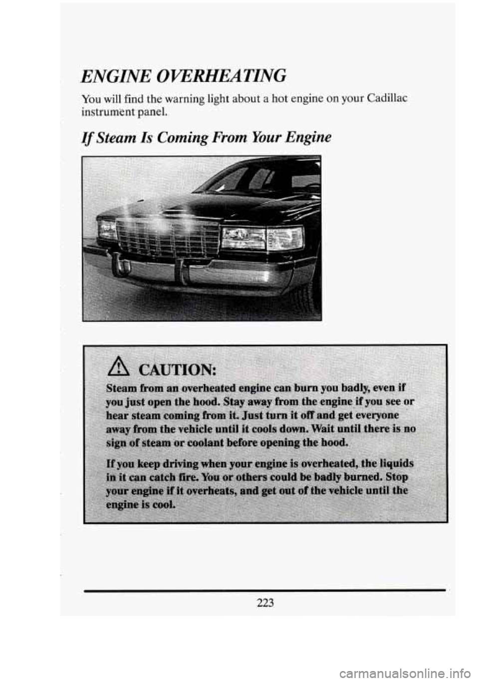 CADILLAC FLEETWOOD 1994  Owners Manual r_ ENGINE OVERHEATING 
You will  find the warning  light  about a hot  engine  on your Cadillac 
instrument  panel. 
If Steam Is Coming  From Your Engine 
- 
223  