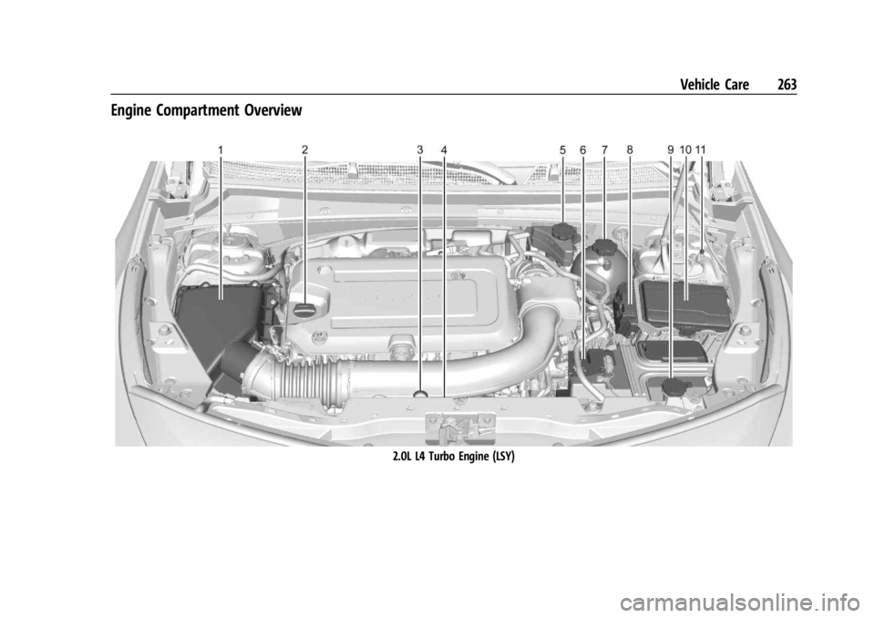 CADILLAC XT4 2024 Owners Manual Cadillac XT4 Owner Manual (GMNA-Localizing-U.S./Canada/Mexico-
17180837) - 2024 - CRC - 2/28/23
Vehicle Care 263
Engine Compartment Overview
2.0L L4 Turbo Engine (LSY) CADILLAC XT4 2024 Owners Manual Cadillac XT4 Owner Manual (GMNA-Localizing-U.S./Canada/Mexico-
17180837) - 2024 - CRC - 2/28/23
Vehicle Care 263
Engine Compartment Overview
2.0L L4 Turbo Engine (LSY)