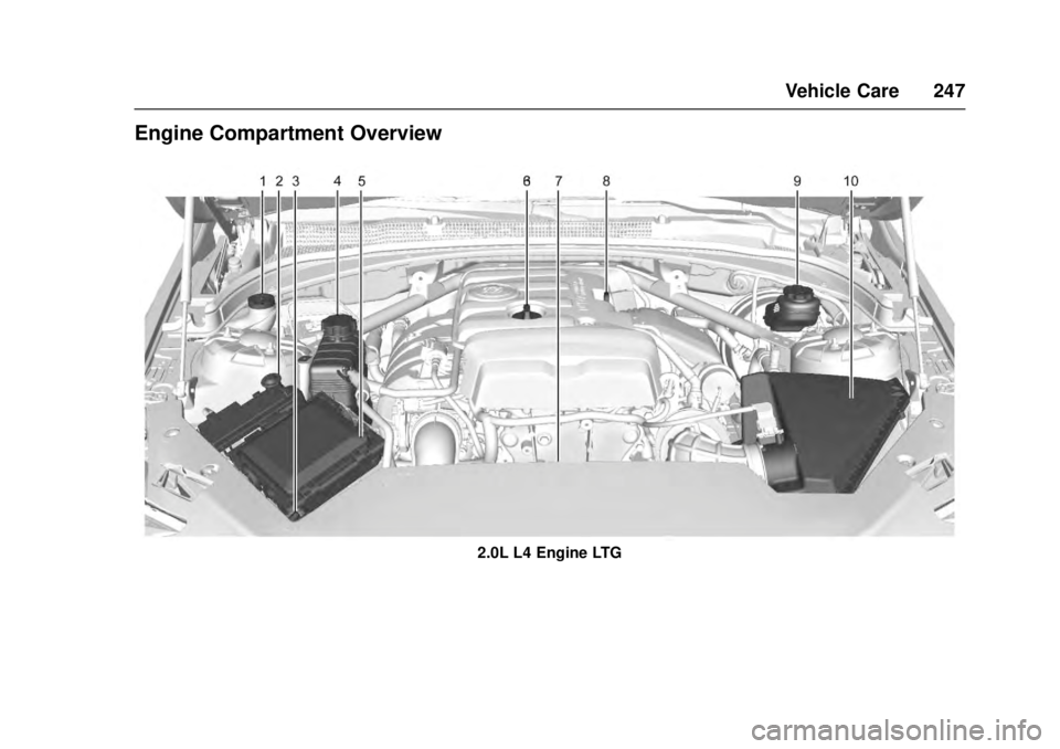 CADILLAC ATS 2016 1.G Owners Manual Cadillac ATS/ATS-V Owner Manual (GMNA-Localizing-MidEast-9369639) -
2016 - crc - 12/9/15
Vehicle Care 247
Engine Compartment Overview
2.0L L4 Engine LTG CADILLAC ATS 2016 1.G Owners Manual Cadillac ATS/ATS-V Owner Manual (GMNA-Localizing-MidEast-9369639) -
2016 - crc - 12/9/15
Vehicle Care 247
Engine Compartment Overview
2.0L L4 Engine LTG