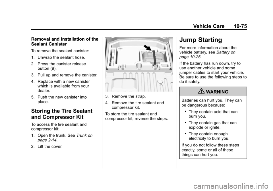 CADILLAC ATS 2013 1.G Owners Manual Black plate (75,1)Cadillac ATS Owner Manual - 2013 - CRC - 10/5/12
Vehicle Care 10-75
Removal and Installation of the
Sealant Canister
To remove the sealant canister:
1. Unwrap the sealant hose.
2. Pr CADILLAC ATS 2013 1.G Owners Manual Black plate (75,1)Cadillac ATS Owner Manual - 2013 - CRC - 10/5/12
Vehicle Care 10-75
Removal and Installation of the
Sealant Canister
To remove the sealant canister:
1. Unwrap the sealant hose.
2. Pr