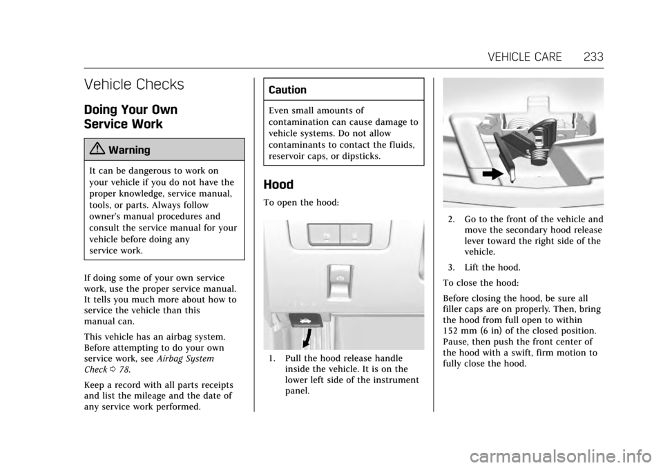 CADILLAC ATS V 2017 1.G Owners Manual Cadillac ATS/ATS-V Owner Manual (GMNA-Localizing-MidEast-10287885) -
2017 - crc - 6/16/16
VEHICLE CARE 233
Vehicle Checks
Doing Your Own
Service Work
{Warning
It can be dangerous to work on
your vehic