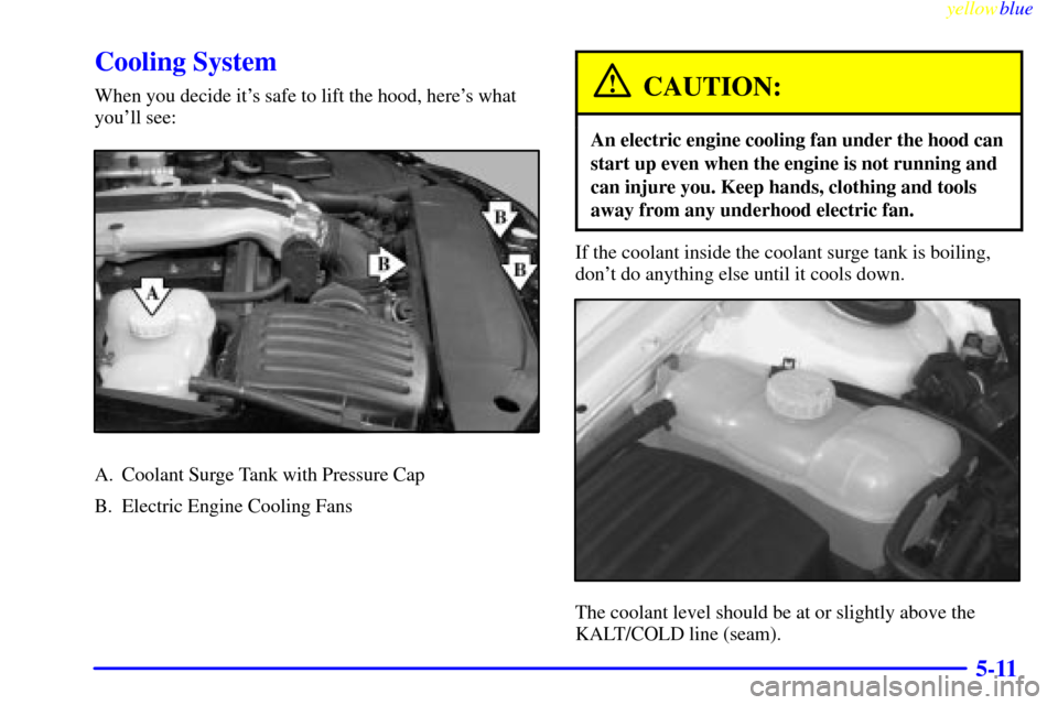 CADILLAC CATERA 1999 1.G Owners Manual yellowblue     
5-11
Cooling System
When you decide its safe to lift the hood, heres what
youll see:
A. Coolant Surge Tank with Pressure Cap
B. Electric Engine Cooling Fans
CAUTION:
An electric eng