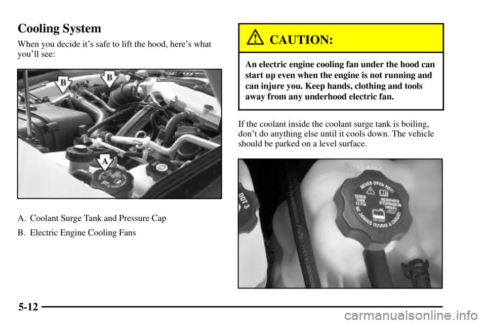 CADILLAC CTS 2003 1.G Owners Manual 5-12
Cooling System
When you decide its safe to lift the hood, heres what
youll see:
A. Coolant Surge Tank and Pressure Cap
B. Electric Engine Cooling Fans
CAUTION:
An electric engine cooling fan u