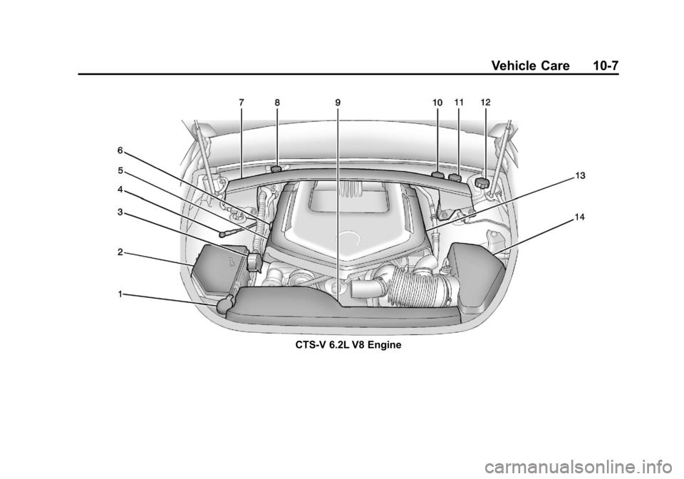 CADILLAC CTS 2013 2.G Owners Manual Black plate (7,1)Cadillac CTS/CTS-V Owner Manual - 2013 - crc2 - 8/22/12
Vehicle Care 10-7
CTS-V 6.2L V8 Engine 