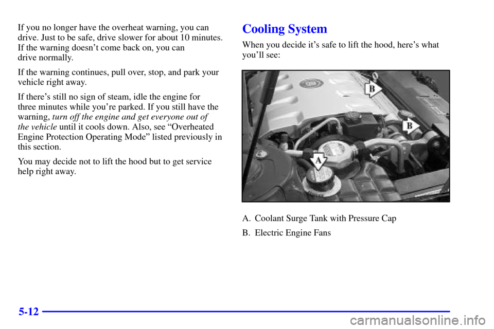 CADILLAC ELDORADO 2000 10.G Owners Manual 5-12
If you no longer have the overheat warning, you can
drive. Just to be safe, drive slower for about 10 minutes.
If the warning doesnt come back on, you can 
drive normally.
If the warning continu