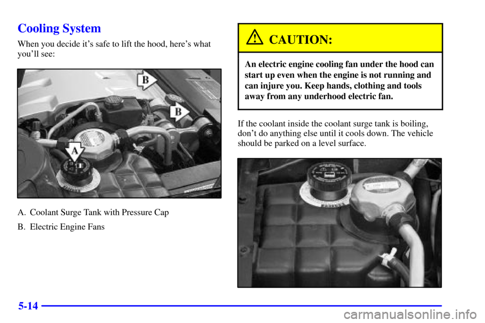 CADILLAC ELDORADO 2002 10.G Repair Manual 5-14
Cooling System
When you decide its safe to lift the hood, heres what
youll see:
A. Coolant Surge Tank with Pressure Cap
B. Electric Engine Fans
CAUTION:
An electric engine cooling fan under th CADILLAC ELDORADO 2002 10.G Repair Manual 5-14
Cooling System
When you decide its safe to lift the hood, heres what
youll see:
A. Coolant Surge Tank with Pressure Cap
B. Electric Engine Fans
CAUTION:
An electric engine cooling fan under th