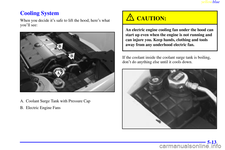 CADILLAC ELDORADO 1999 10.G Owners Manual yellowblue     
5-13
Cooling System
When you decide its safe to lift the hood, heres what
youll see:
A. Coolant Surge Tank with Pressure Cap
B. Electric Engine Fans
CAUTION:
An electric engine cool