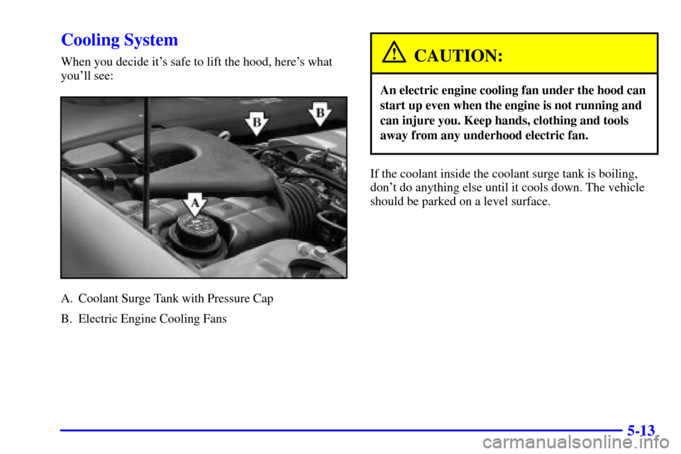 CADILLAC SEVILLE 2002 5.G Owners Manual 5-13
Cooling System
When you decide its safe to lift the hood, heres what
youll see:
A. Coolant Surge Tank with Pressure Cap
B. Electric Engine Cooling Fans
CAUTION:
An electric engine cooling fan 