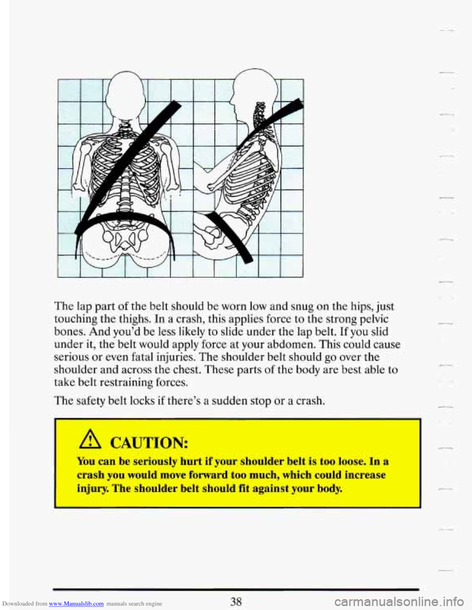 CADILLAC DEVILLE 1993 7.G Workshop Manual Downloaded from www.Manualslib.com manuals search engine n n 
The  lap  part of the belt should  be worn  low and  snug on the hips, just 
touching  the thighs.  In a crash, this applies force  to the