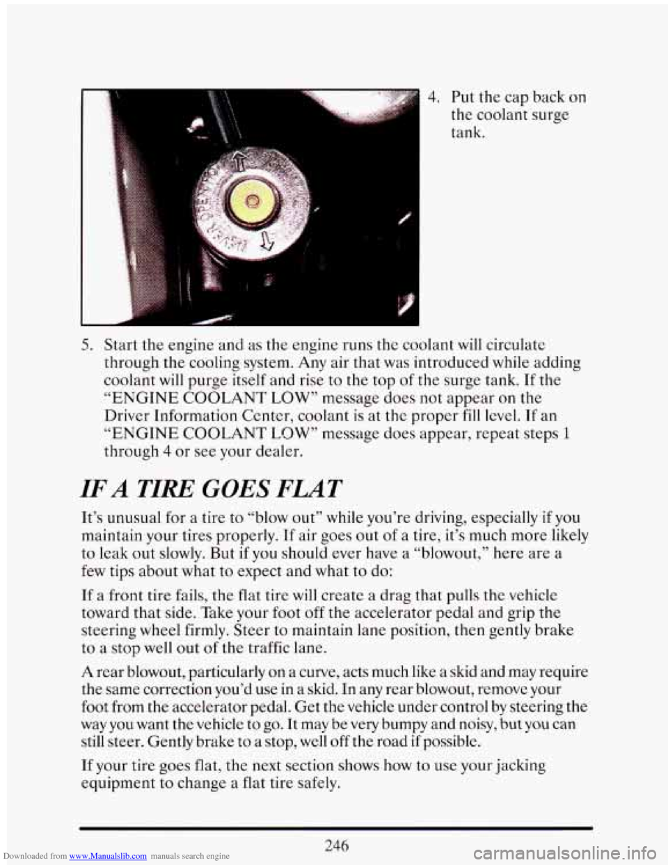 CADILLAC ELDORADO 1993 10.G Owners Manual Downloaded from www.Manualslib.com manuals search engine 4. Put the cap back on
the coolant surge
tank.
5. Start the engine and as the engine runs the coolant will circulate
through CADILLAC ELDORADO 1993 10.G Owners Manual Downloaded from www.Manualslib.com manuals search engine 4. Put the cap back on
the coolant surge
tank.
5. Start the engine and as the engine runs the coolant will circulate
through