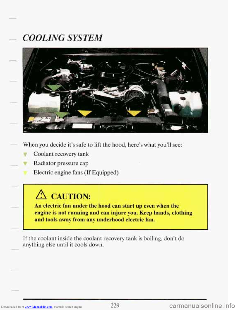 CADILLAC FLEETWOOD 1993 2.G Owners Manual Downloaded from www.Manualslib.com manuals search engine .- COOLING SYSTEM 
-- When you decide  it’s safe  to lift the hood, here’s what  you’ll see: 
Coolant  recovery  tank 
-? Radiator  press