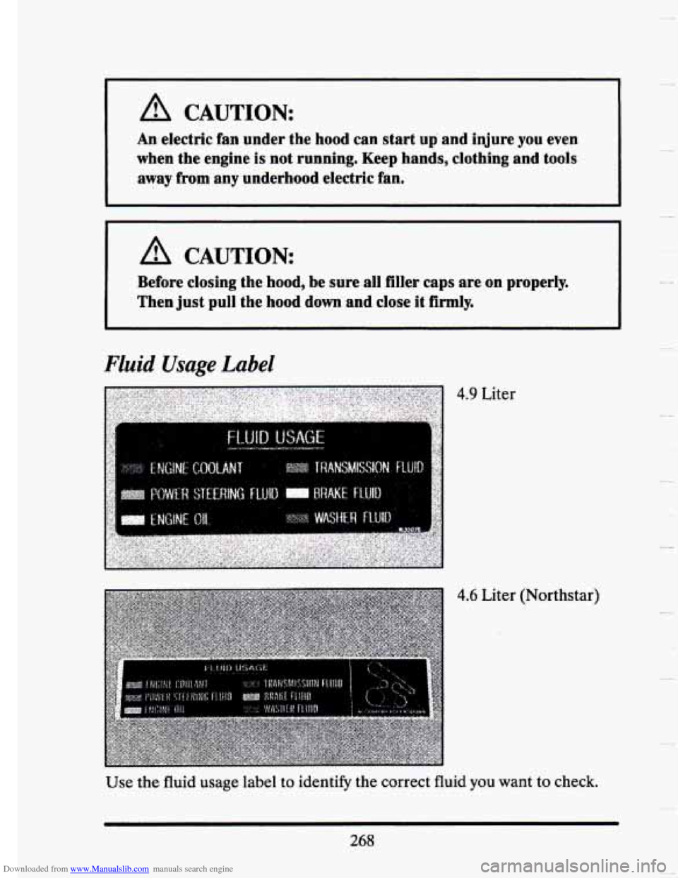 CADILLAC SEVILLE 1993 4.G Owners Manual Downloaded from www.Manualslib.com manuals search engine A CAUTION:
An electric fan under the hood can start up and injure you even
when the engine
is not running. Keep hands, clothing and CADILLAC SEVILLE 1993 4.G Owners Manual Downloaded from www.Manualslib.com manuals search engine A CAUTION:
An electric fan under the hood can start up and injure you even
when the engine
is not running. Keep hands, clothing and