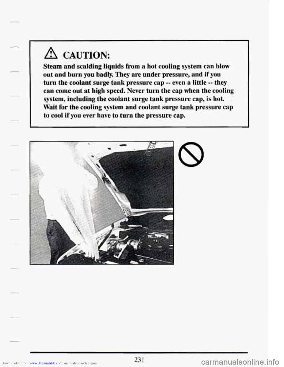 CADILLAC DEVILLE 1994 7.G Owners Manual Downloaded from www.Manualslib.com manuals search engine A CAUTION: 
Steam and scalding  liquids from a hot cooling system  can blow 
out  and  burn you  badly.  They  are  under  pressure,  and if yo