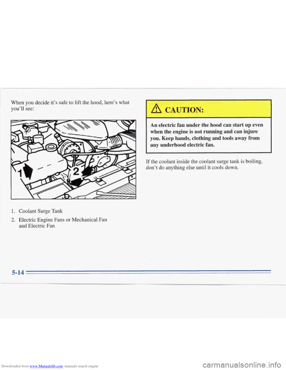 CADILLAC FLEETWOOD 1995 2.G Owners Manual Downloaded from www.Manualslib.com manuals search engine When you decide  it’s safe  to lift the hood,  here’s  what 
you’ll see: 
An  electric  fan  under  the  hood  can  start up even 
when  
