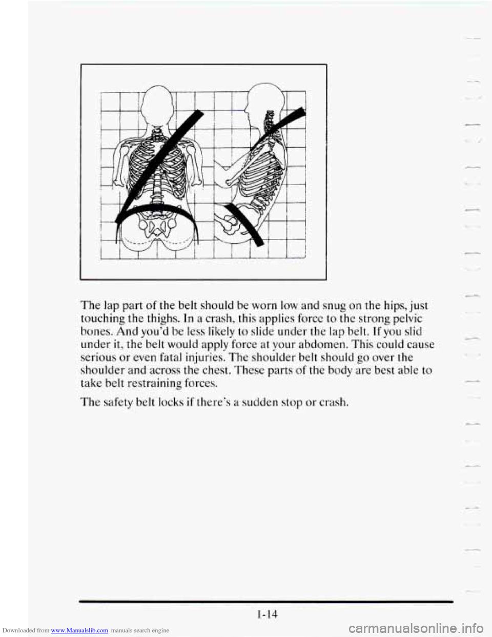 CADILLAC SEVILLE 1995 4.G Owners Guide Downloaded from www.Manualslib.com manuals search engine The lap  part of the belt should  be  worn  low  and snug on the hips, just 
touching  the thighs. 
In a crash,  this applies  force  to  the  