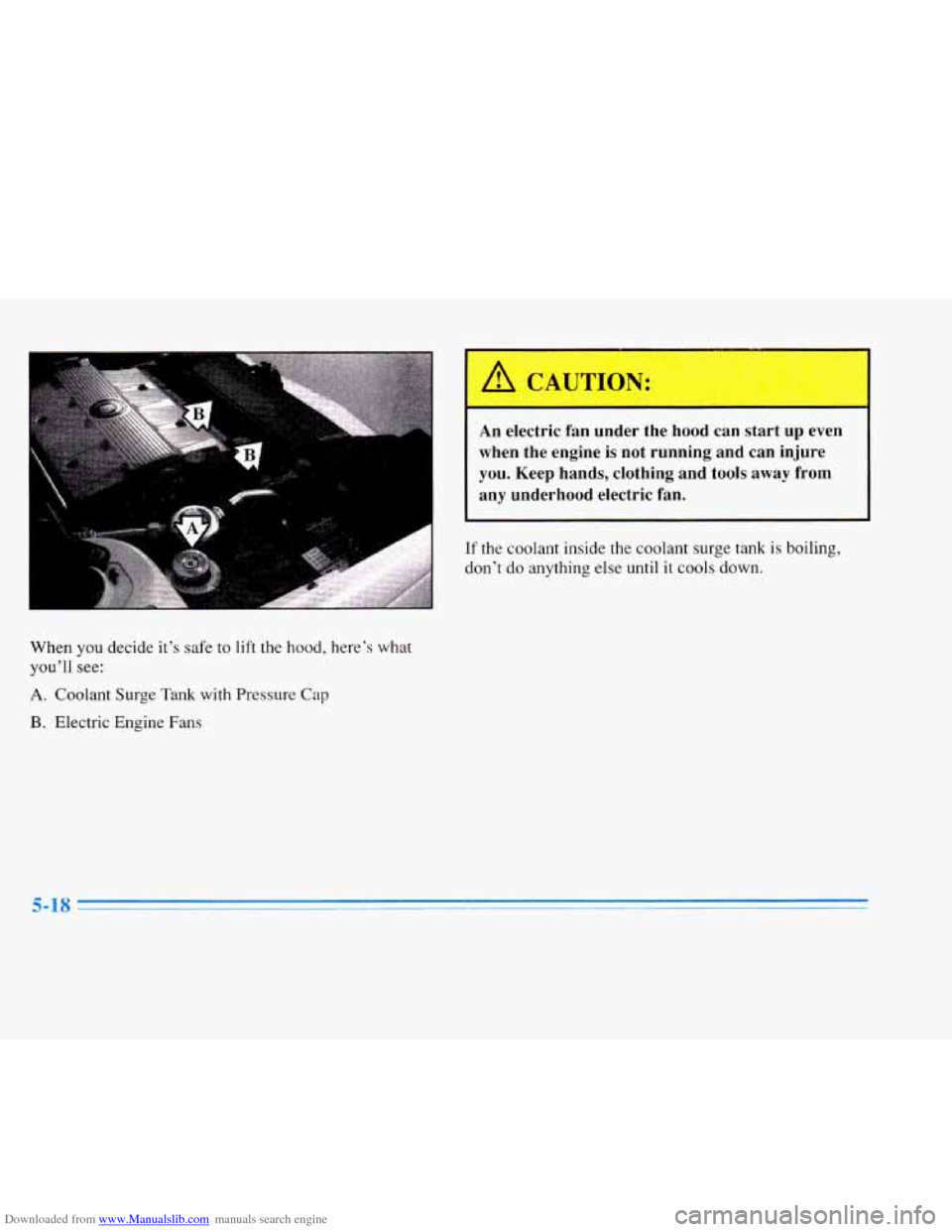 CADILLAC ELDORADO 1996 10.G Owners Manual Downloaded from www.Manualslib.com manuals search engine When you decide  it’s safe to lift the hood,  here’s  what 
you’ll see: 
A. Coolant  Surge Tank with Pressure Cap 
B. Electric Engine Fan