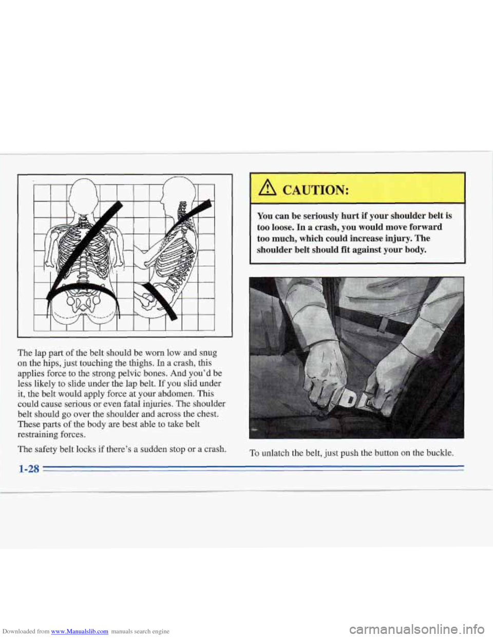 CADILLAC FLEETWOOD 1996 2.G Owners Manual Downloaded from www.Manualslib.com manuals search engine The lap part of the belt should  be worn low and snug 
on  the  hips, just touching the thighs.  In a crash, this 
applies force to the strong 